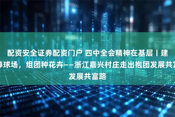 配资安全证券配资门户 四中全会精神在基层丨建起棒球场，组团种花卉——浙江嘉兴村庄走出抱团发展共富路