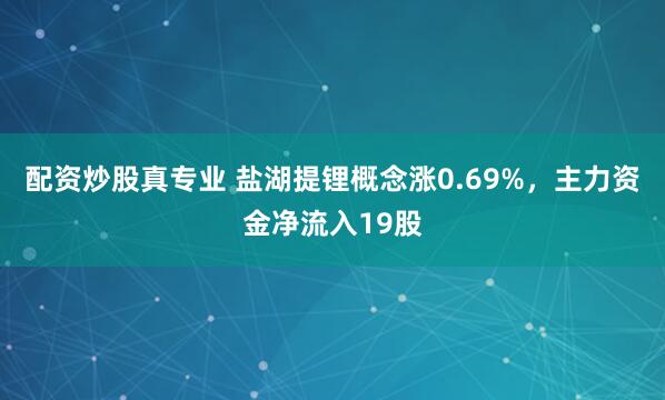 配资炒股真专业 盐湖提锂概念涨0.69%，主力资金净流入19股